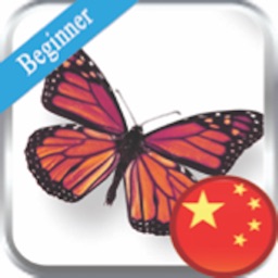 Mandarin Beginner