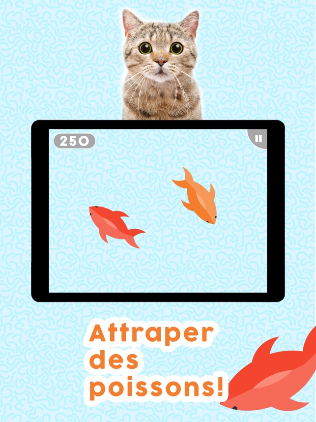 Jeux Pour Les Chats Dans L App Store