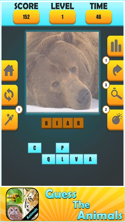 Guess Animal : Family Puzzle