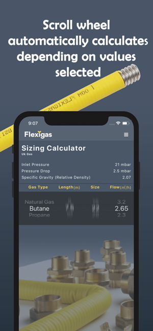 Flexigas Europe Sizing Tool(圖2)-速報App