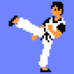 Kungfu NES