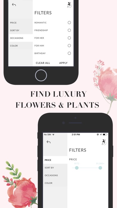 French Florist Flower Delivery screenshot 4