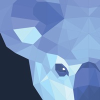 KOALA app funktioniert nicht? Probleme und Störung