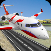 City Airplane Pilot Flight
