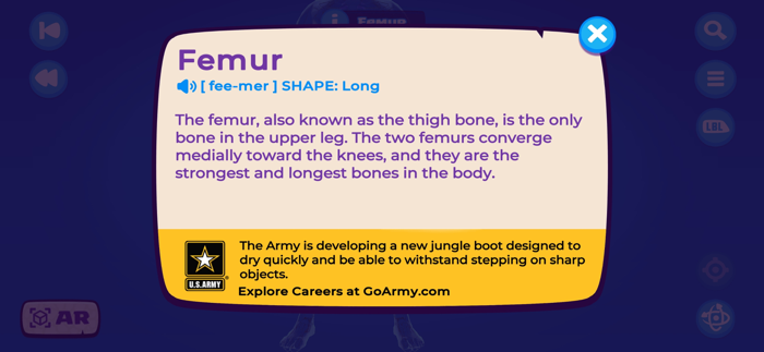 U.S. Army STARS Anatomy