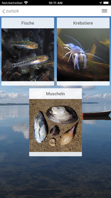 SWIMWAY FishExplorer screenshot 2