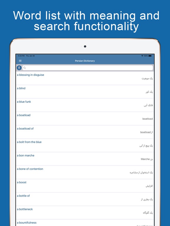 Persian Dictionary Offline screenshot 2