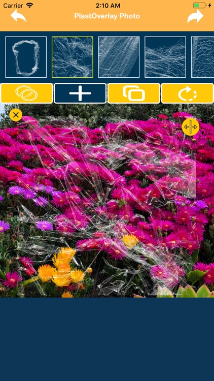 PlastOverlay Photo screenshot-5