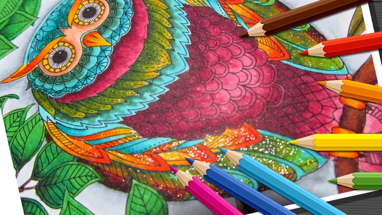 Birds Mandala Coloring - Relax