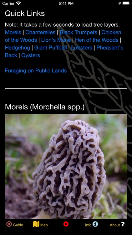 Minnesota Mushroom Forager Map screenshot-3