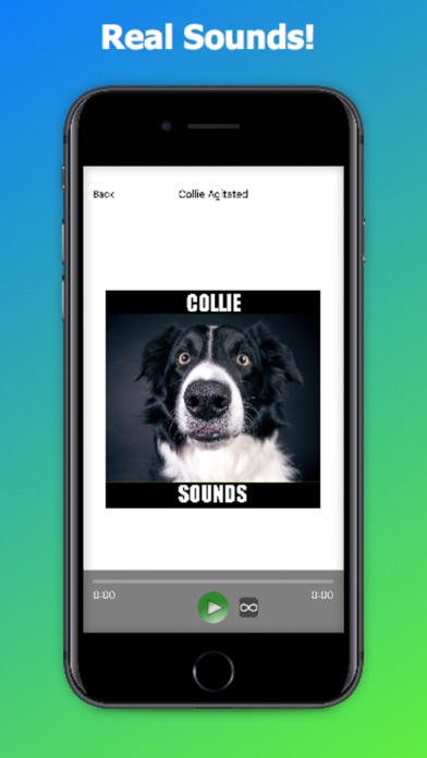 Collie Dog Sounds screenshot 3