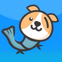 狗鱼健康 pour PC