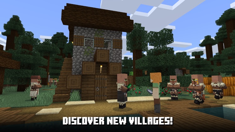 Minecraft screenshot-8