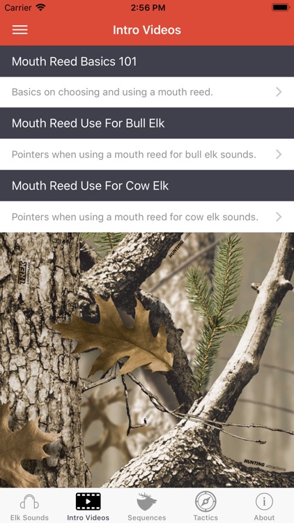 ElkNut screenshot-5