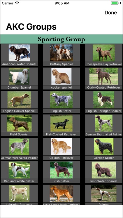Dog Breed Identifier screenshot-3