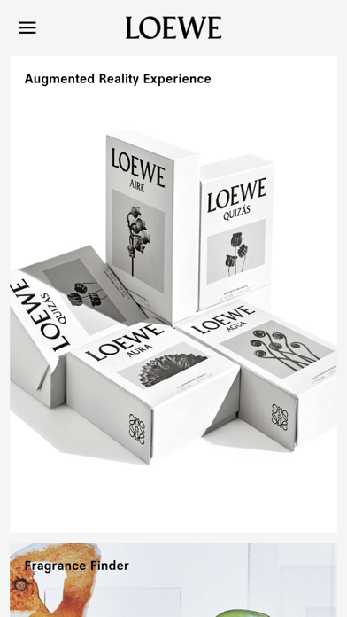 LOEWE Perfumes screenshot 2