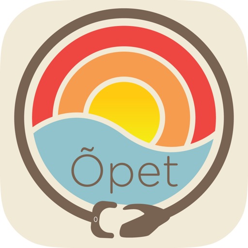 OpetGuru Education