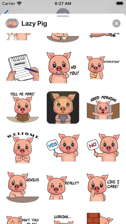 #1 Cute Lazy Pig Stickers