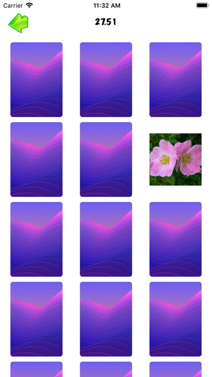 Flower Pair Match Puzzle screenshot-6