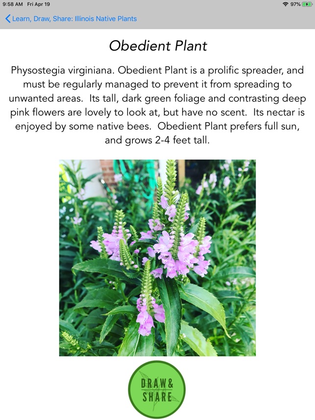 Illinois Native Plants(圖2)-速報App