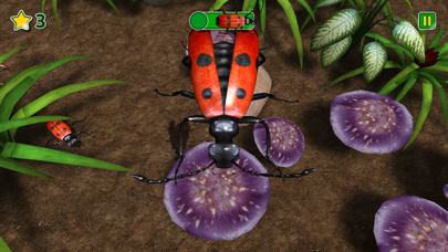 Bugs and Beyond screenshot 1