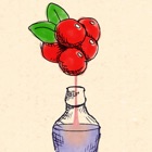 BerryMaker – DNA soda factory