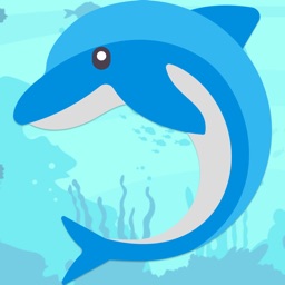 Your Friendly Dolphin