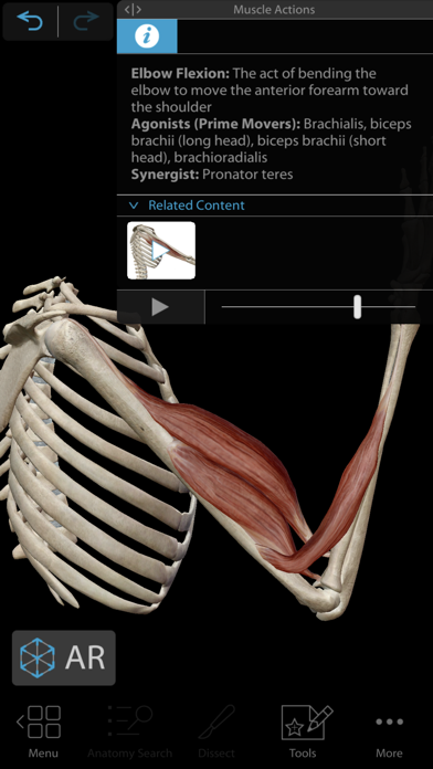 Muscles & Kinesiology Screenshots