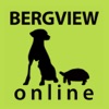 Bergview Online