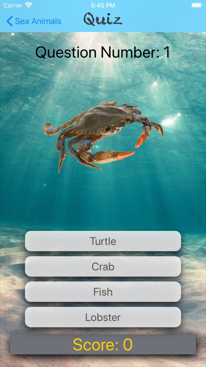 Sea Animals in English screenshot-3