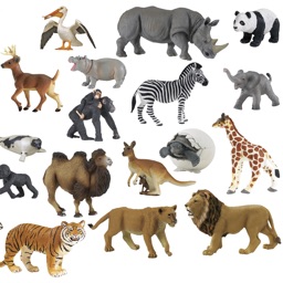 Guess Animals Quiz Game