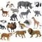 Guess and recognize animals like wild mammals, dog breeds or cat breeds