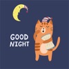 Enjoy Good Night
