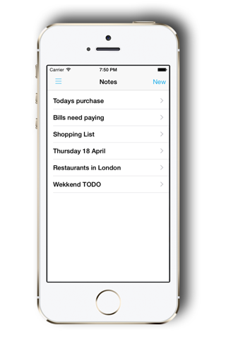 Save Notes - secure your data - náhled