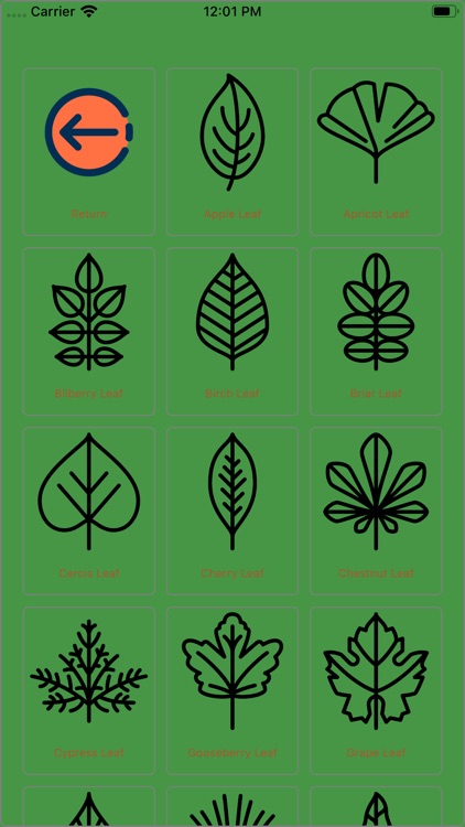 Leaves shape quiz