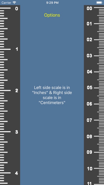 Scale - Measurement Ruler screenshot-4