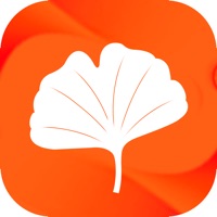 恩叶收银 sur PC