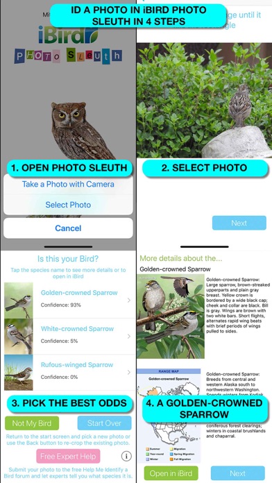 iBird Plus Guide to Birdsのおすすめ画像3