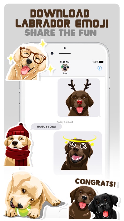 Labrador Retriever Dog Emojis screenshot-4