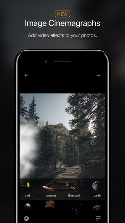 Phoenix: Cinemagraph Editor