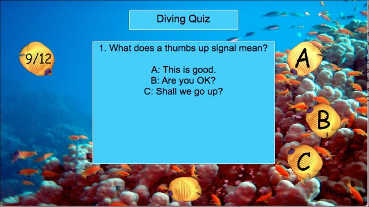 Diving In The Red Sea screenshot-4