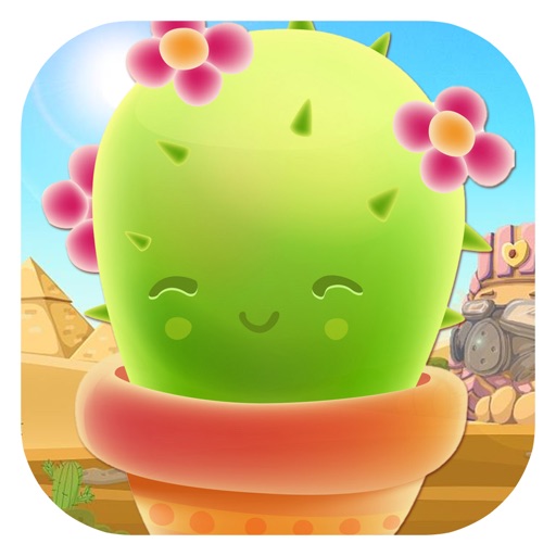 Find out cactus