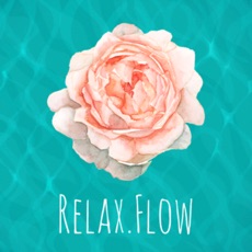 Activities of RelaxFlow