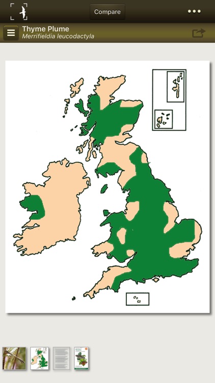 Moths of Britain & Ireland