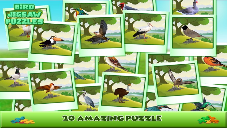 Bird Jigsaw Puzzles