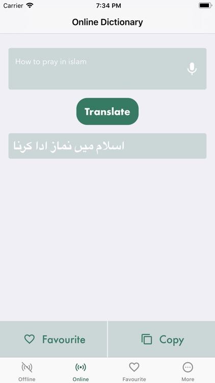 Dictionary Urdu - English screenshot-4