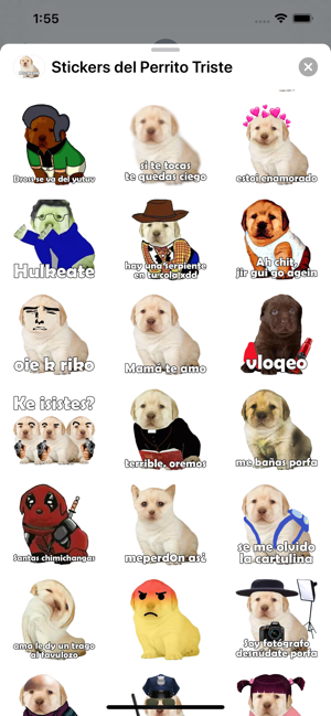 Stickers del Perrito Triste(圖3)-速報App