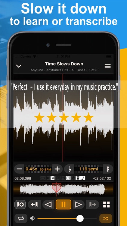Anytune Pro+