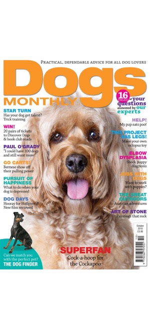 Dogs Monthly Magazine(圖9)-速報App