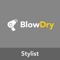 An application for the stylists associated with the Blow Dry app, to allow for ease schedule and order management